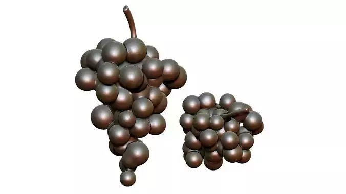 grape 3D print model