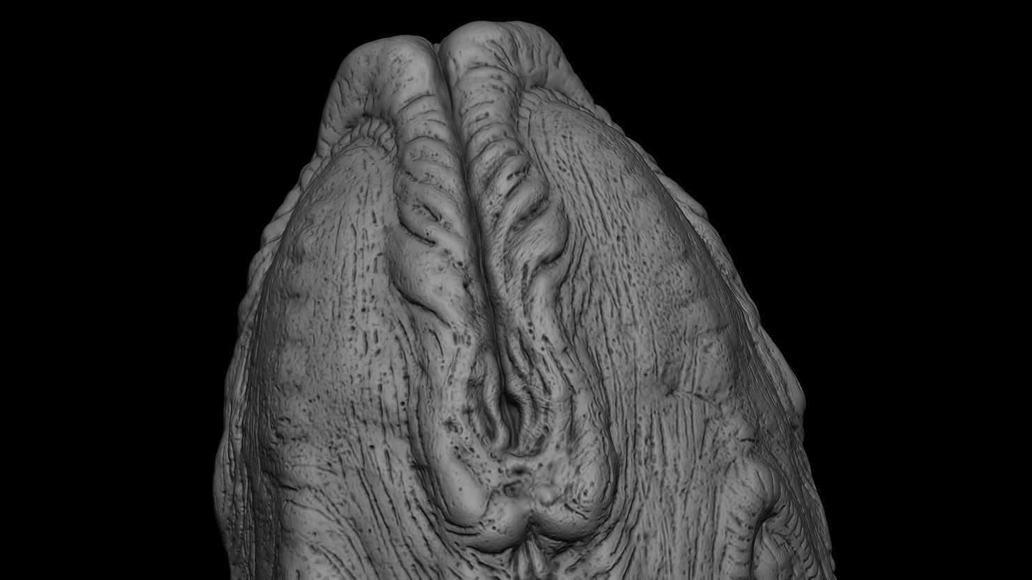 3D PRINTABLE ALIEN COVENANT CLOSED EGG WITH ROOTS 3D print model_5