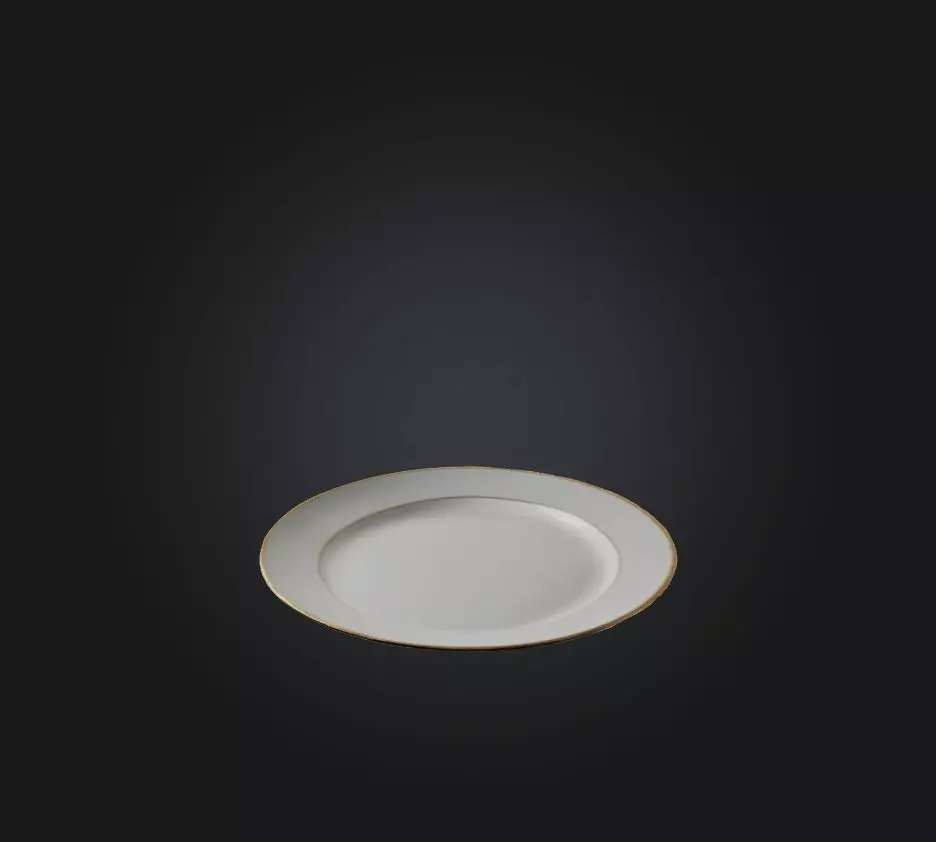 Plate Low-poly 3D model_0