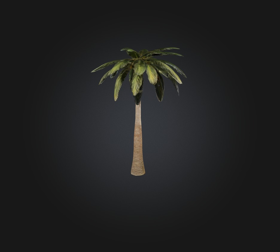 Palm Tree Low-poly 3D model_2