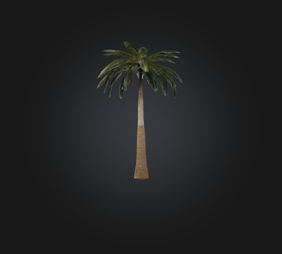 Palm Tree Low-poly 3D model_7