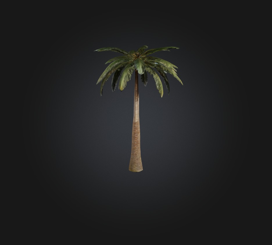 Palm Tree Low-poly 3D model_4