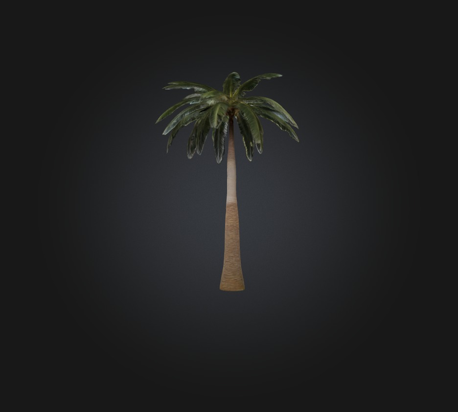 Palm Tree Low-poly 3D model_6