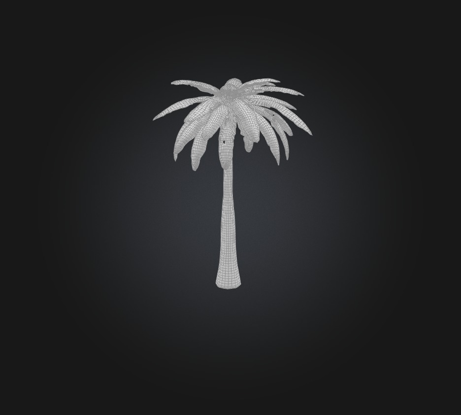 Palm Tree Low-poly 3D model_1