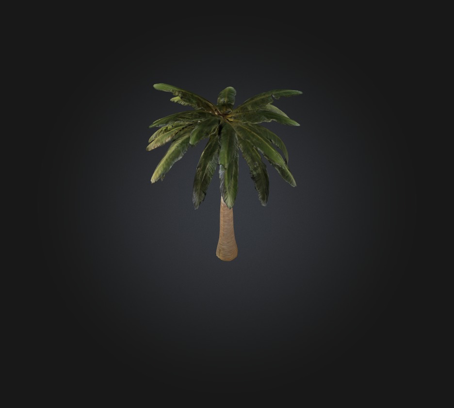 Palm Tree Low-poly 3D model_8