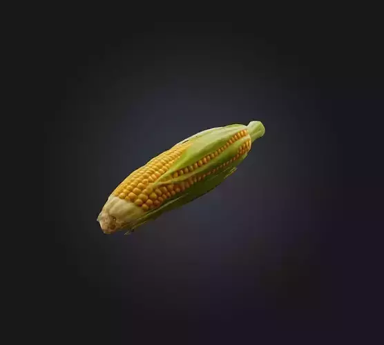 Corn 2