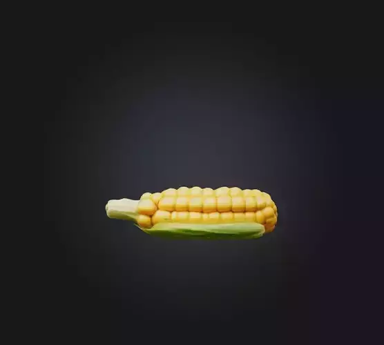 Corn Model