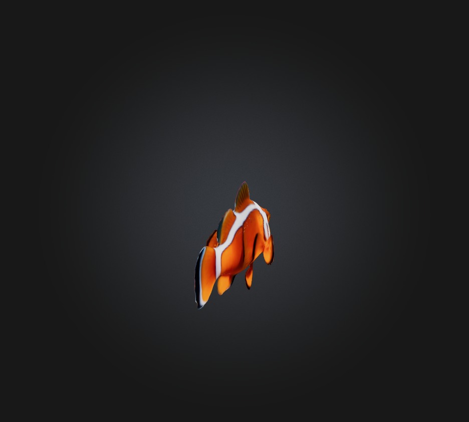 Clownfish Low-poly 3D model_3