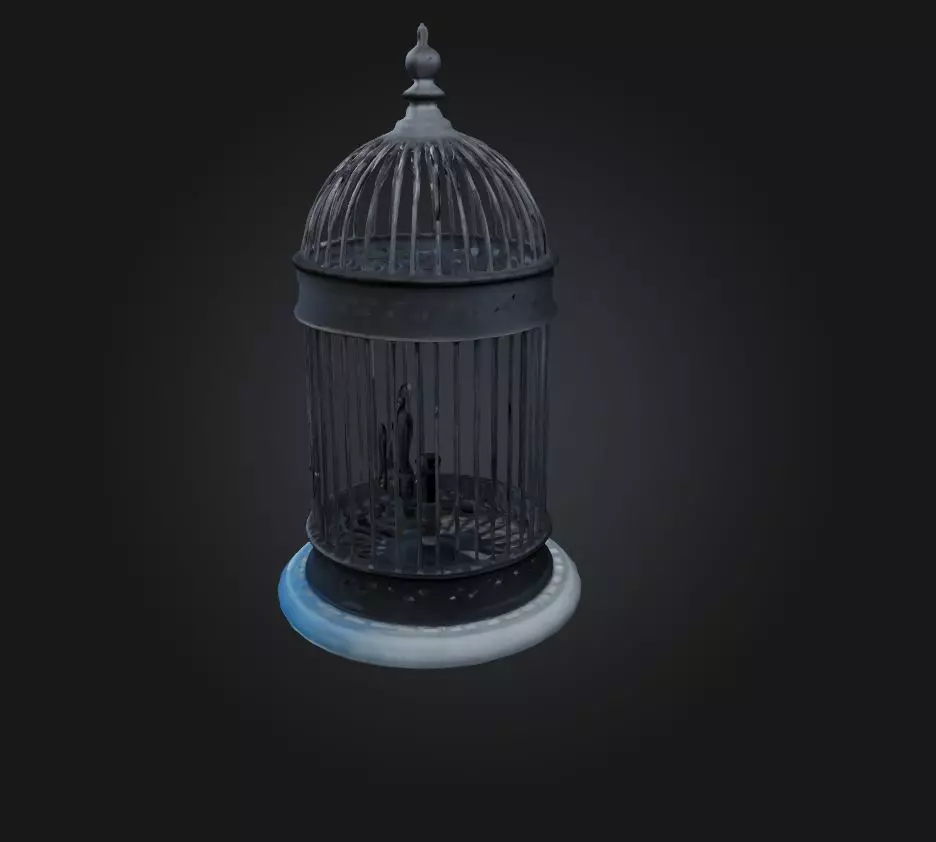cage model Low-poly 3D model_0