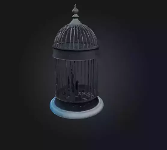 cage model Low-poly 3D model