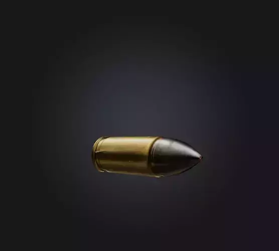 bullet