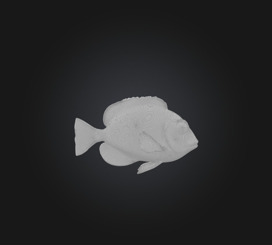 Blue ring angelfish Low-poly 3D model_1