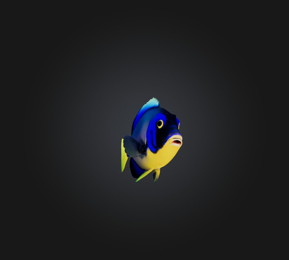 Blue ring angelfish Low-poly 3D model_7