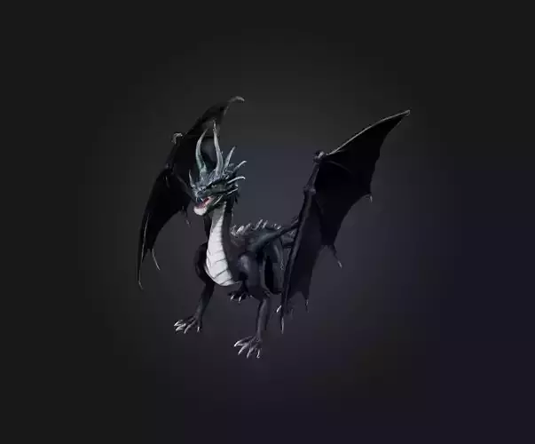 Black Dragon