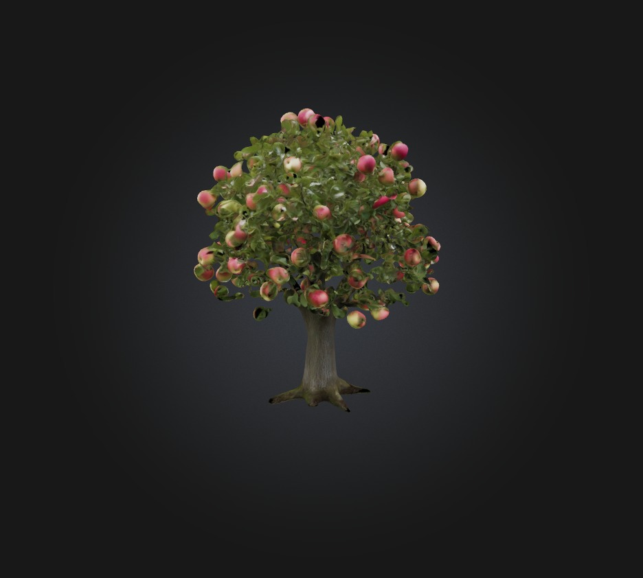 Apple Tree Low-poly 3D model_3