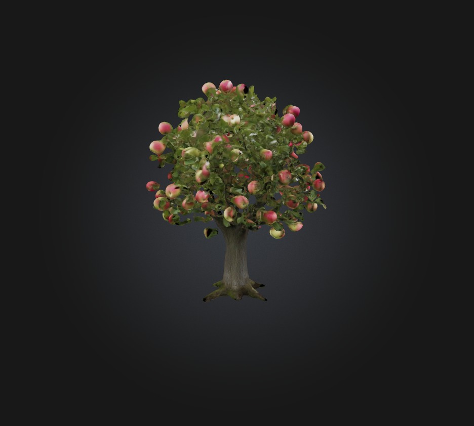 Apple Tree Low-poly 3D model_4