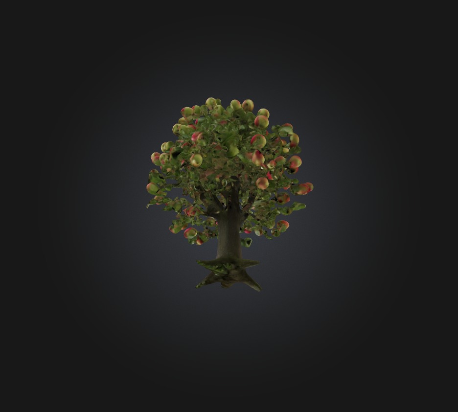Apple Tree Low-poly 3D model_8