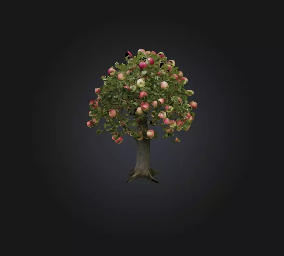 Apple Tree Low-poly 3D model_0