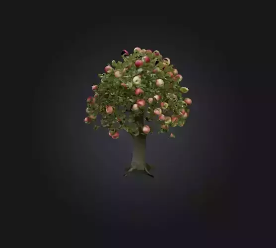 Apple Tree Low-poly 3D model