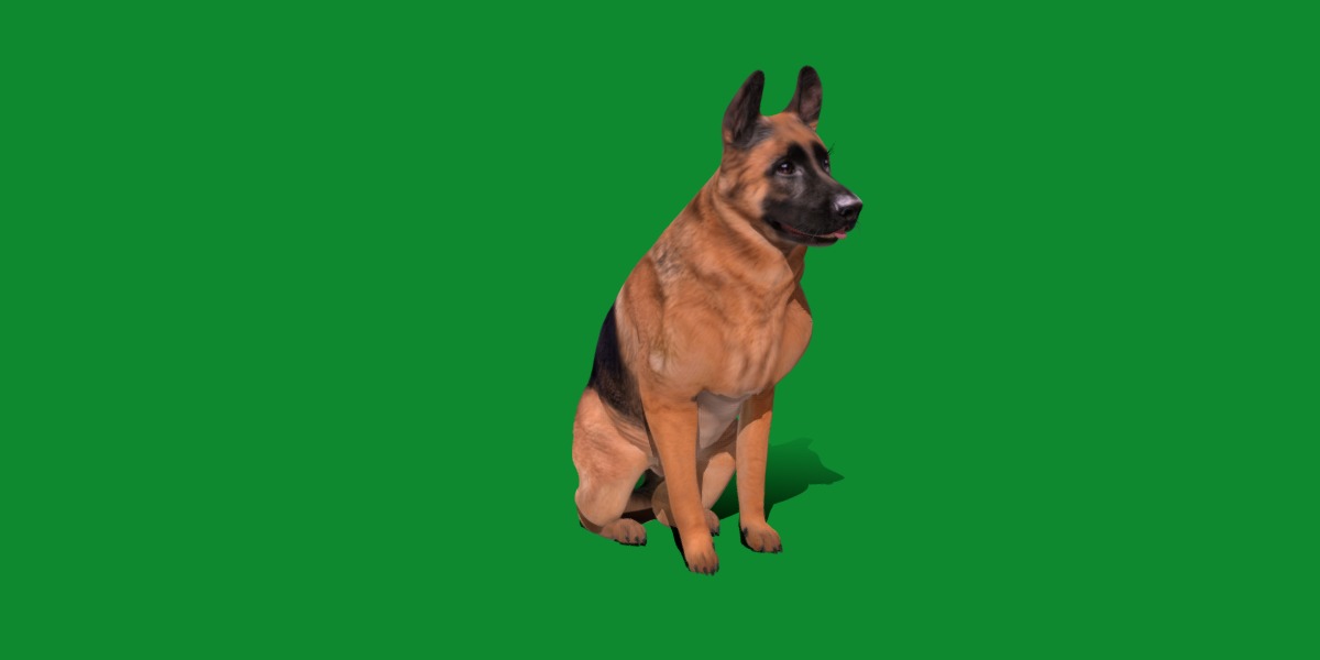 King Shepherd Dog Low-poly 3D model_18