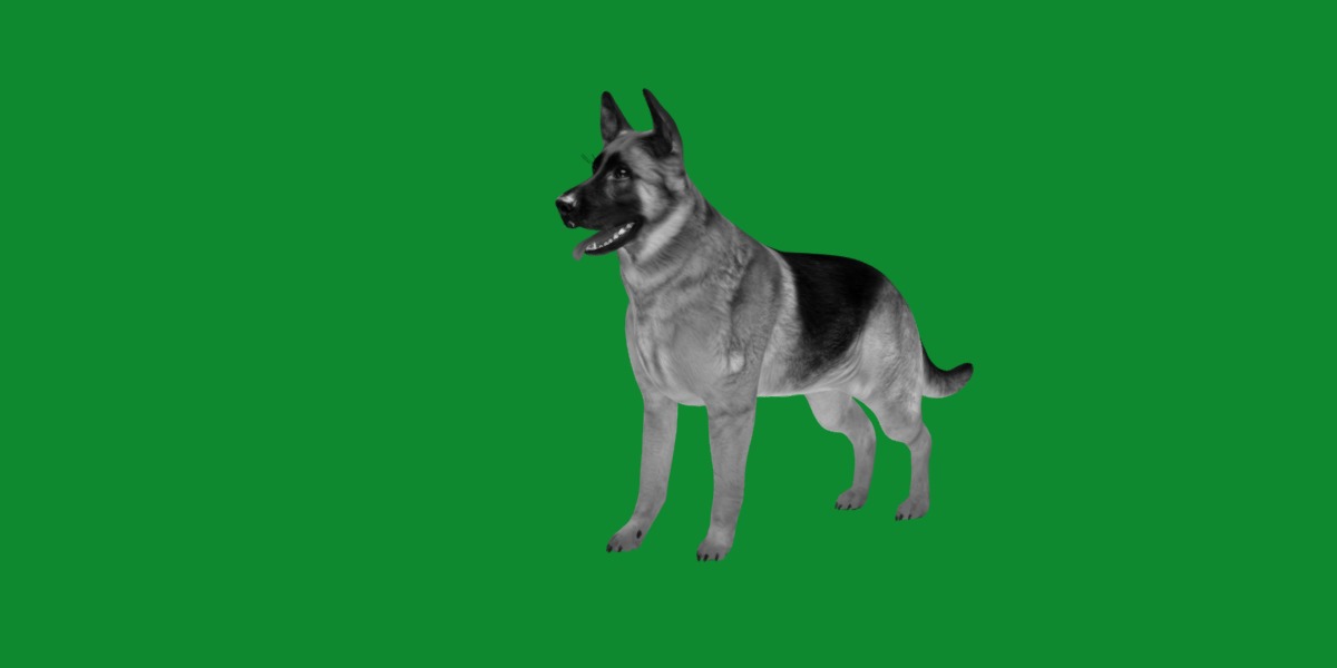 King Shepherd Dog Low-poly 3D model_7