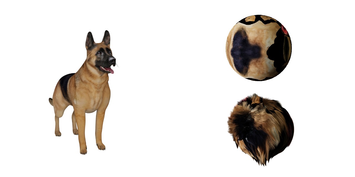 King Shepherd Dog Low-poly 3D model_5