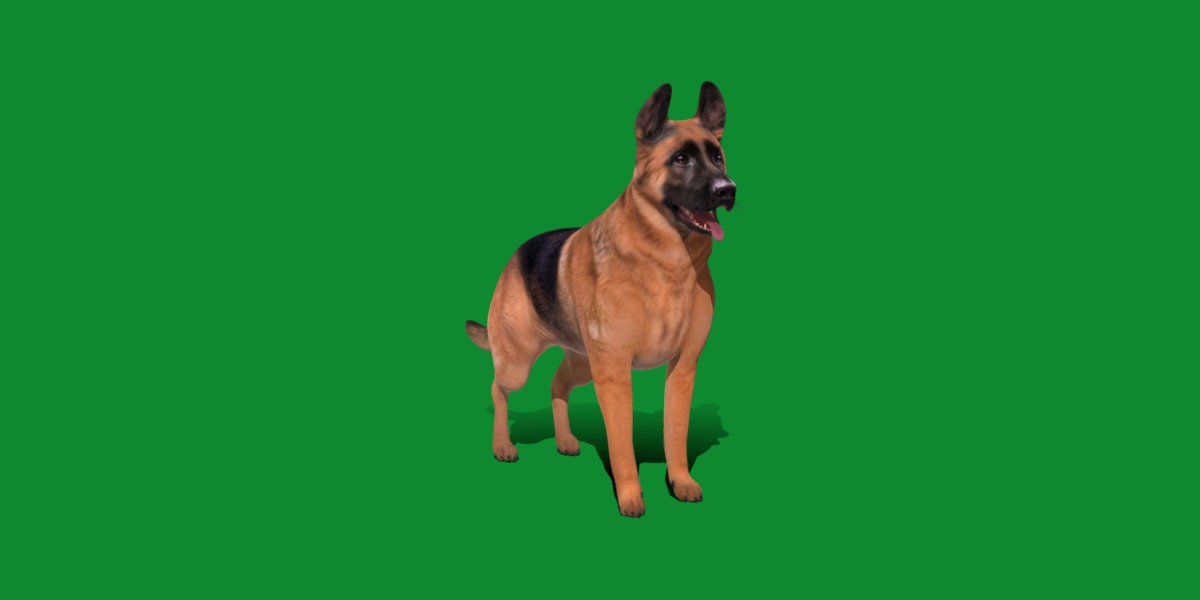 King Shepherd Dog Low-poly 3D model_24