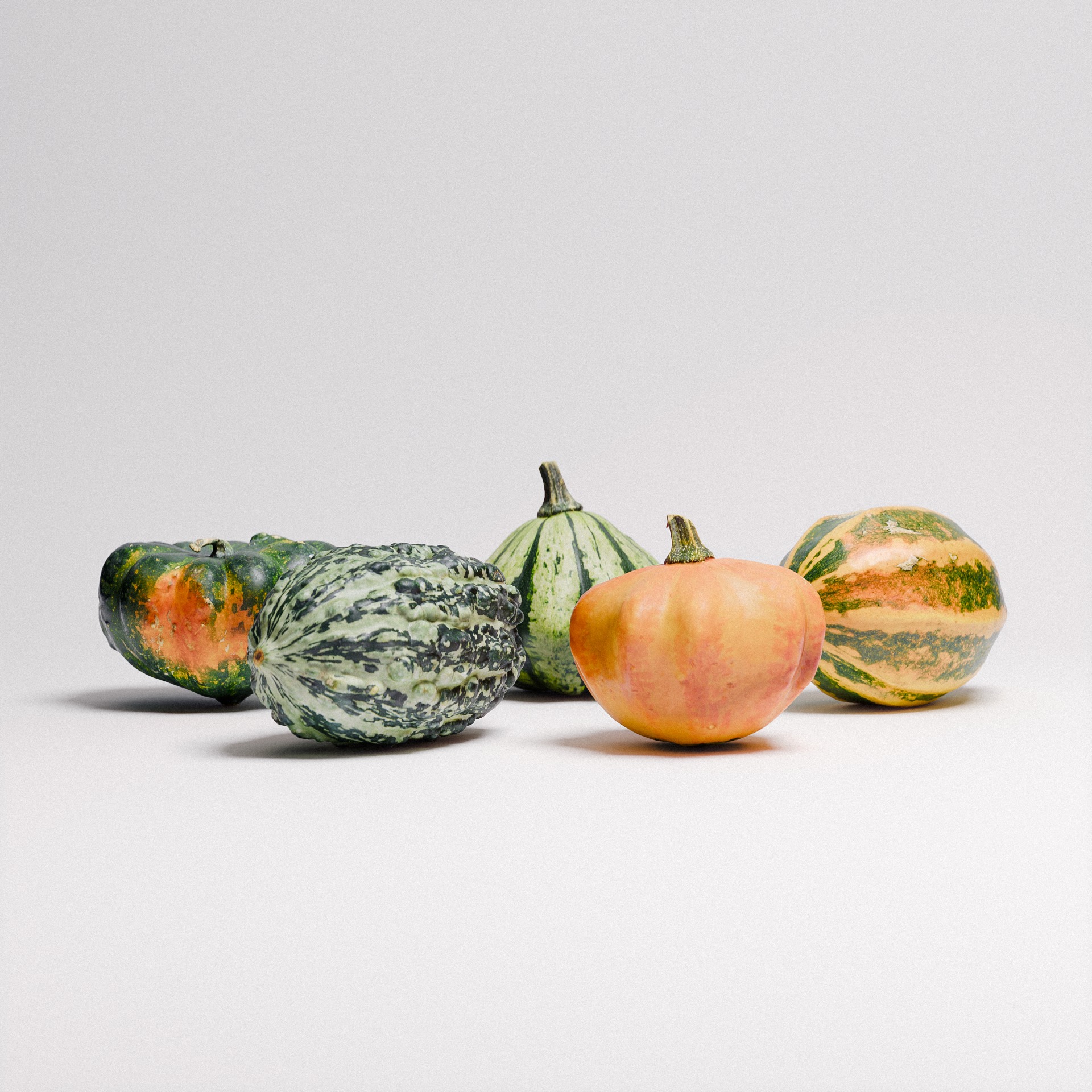 Gourds Set 01 3D model_2