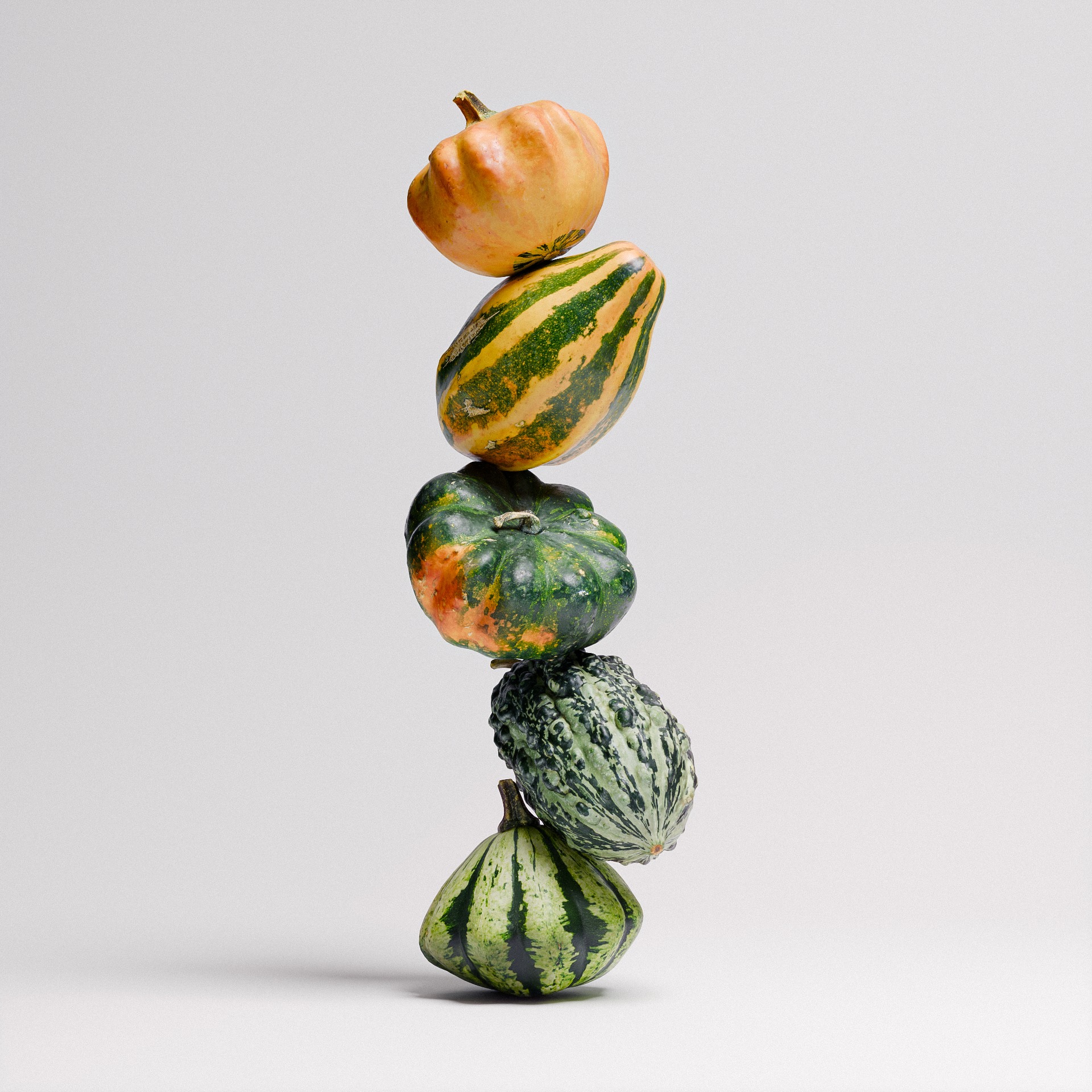 Gourds Set 01 3D model_1