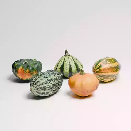 Gourds Set 01 3D model