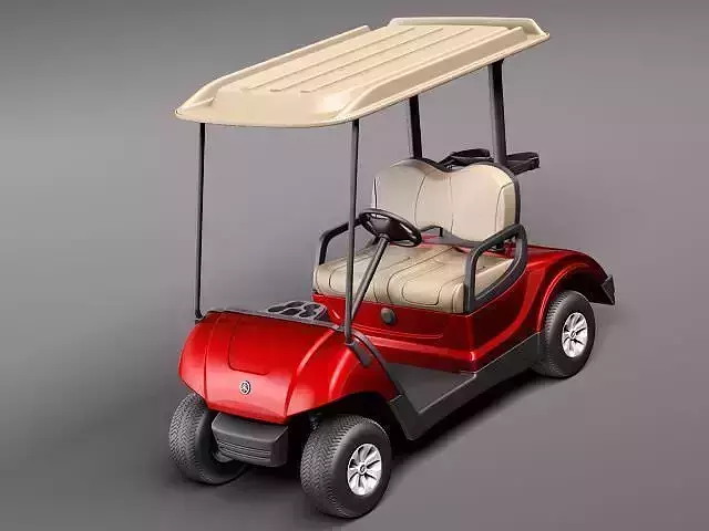 Yamaha Golf Car G29E 2011