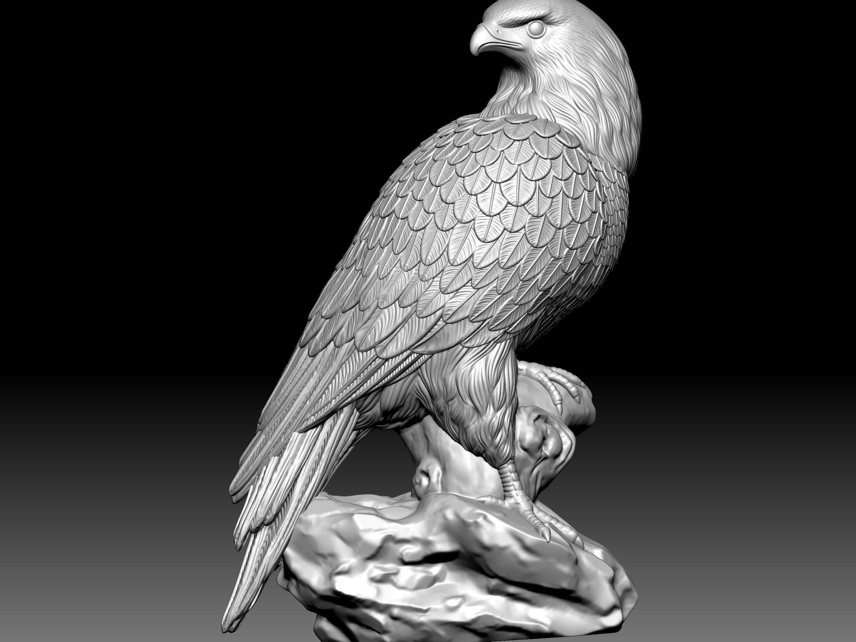 Eagel Statue 3D model_11