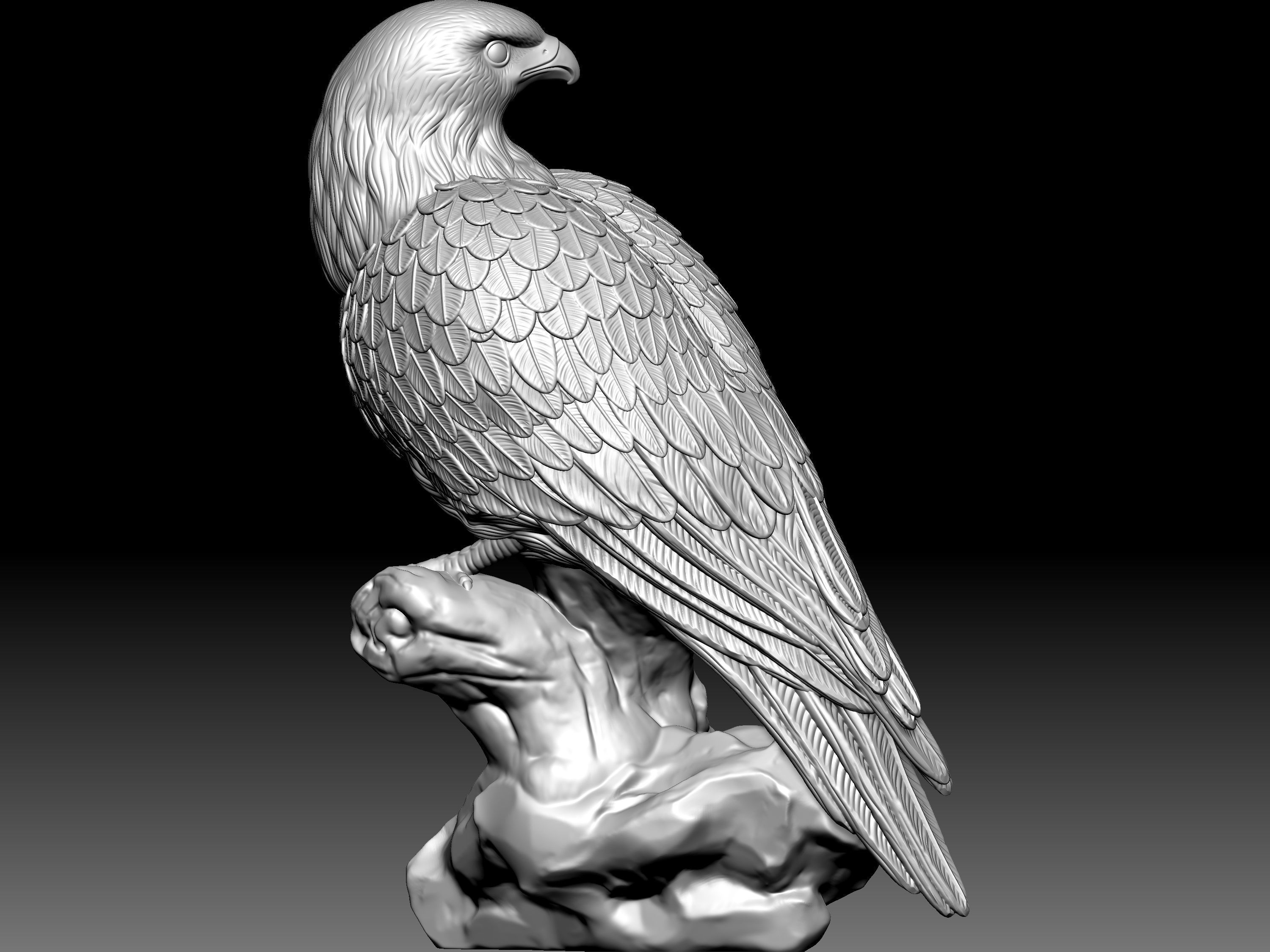 Eagel Statue 3D model_8