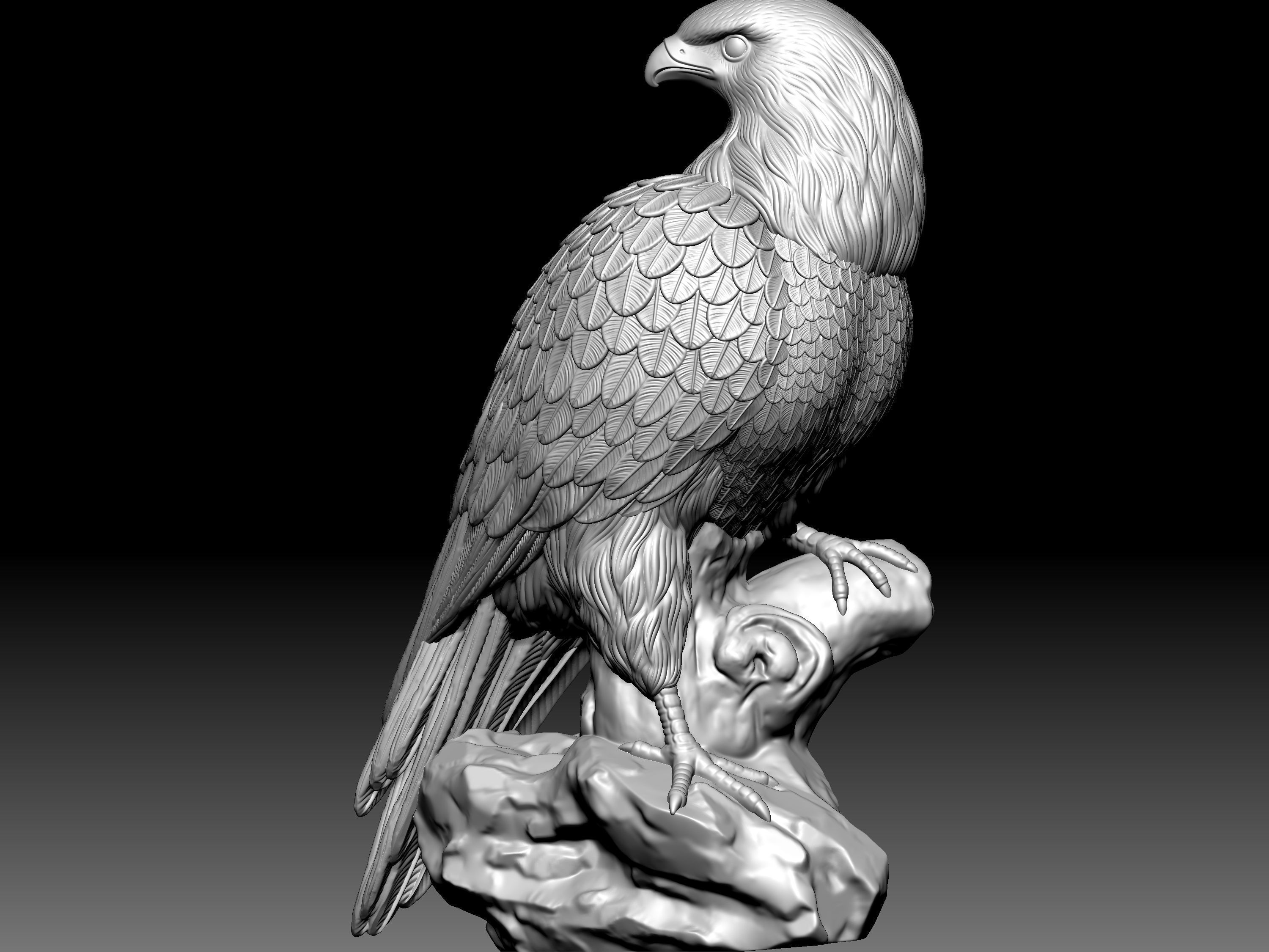 Eagel Statue 3D model_12