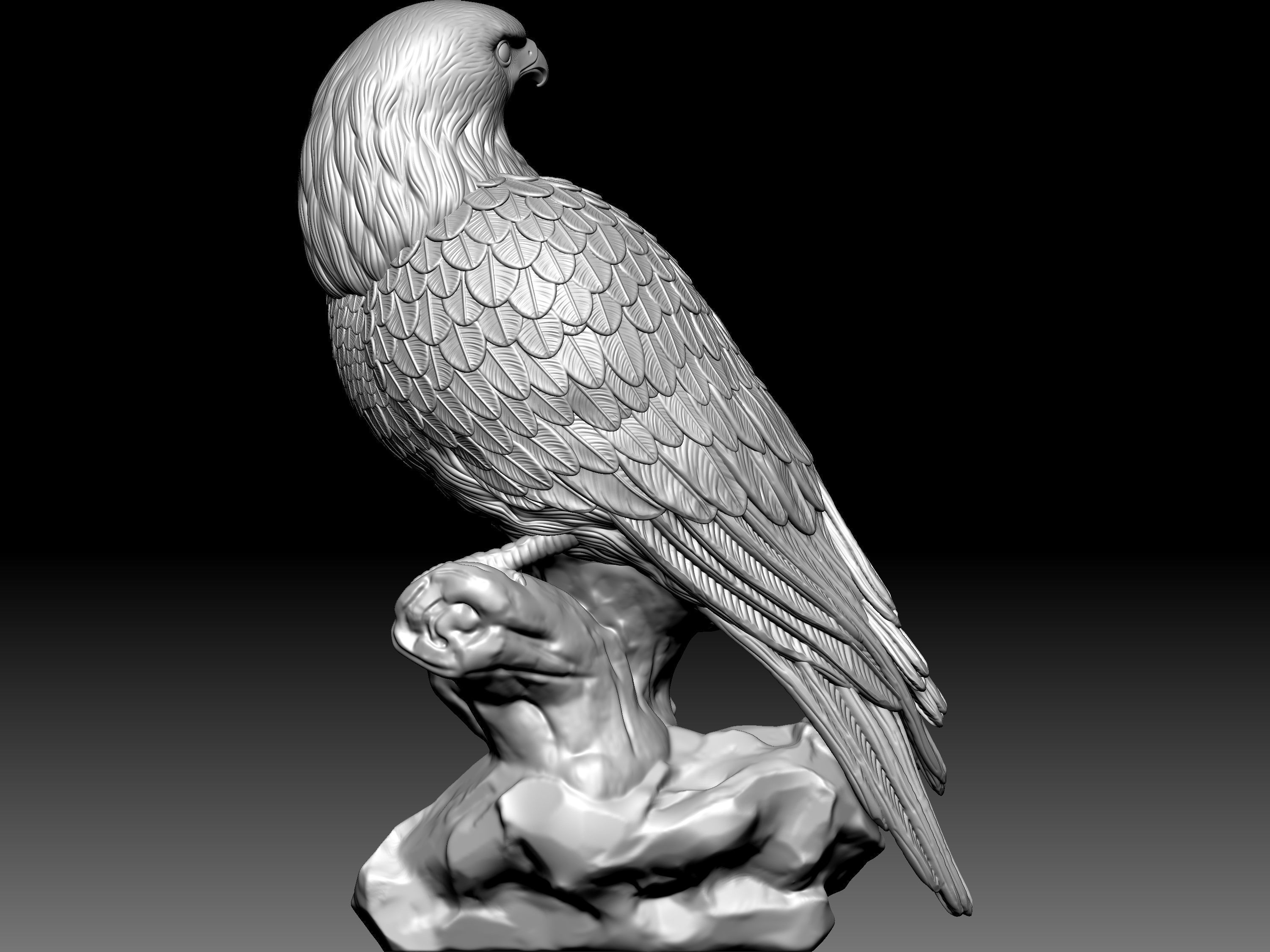Eagel Statue 3D model_7
