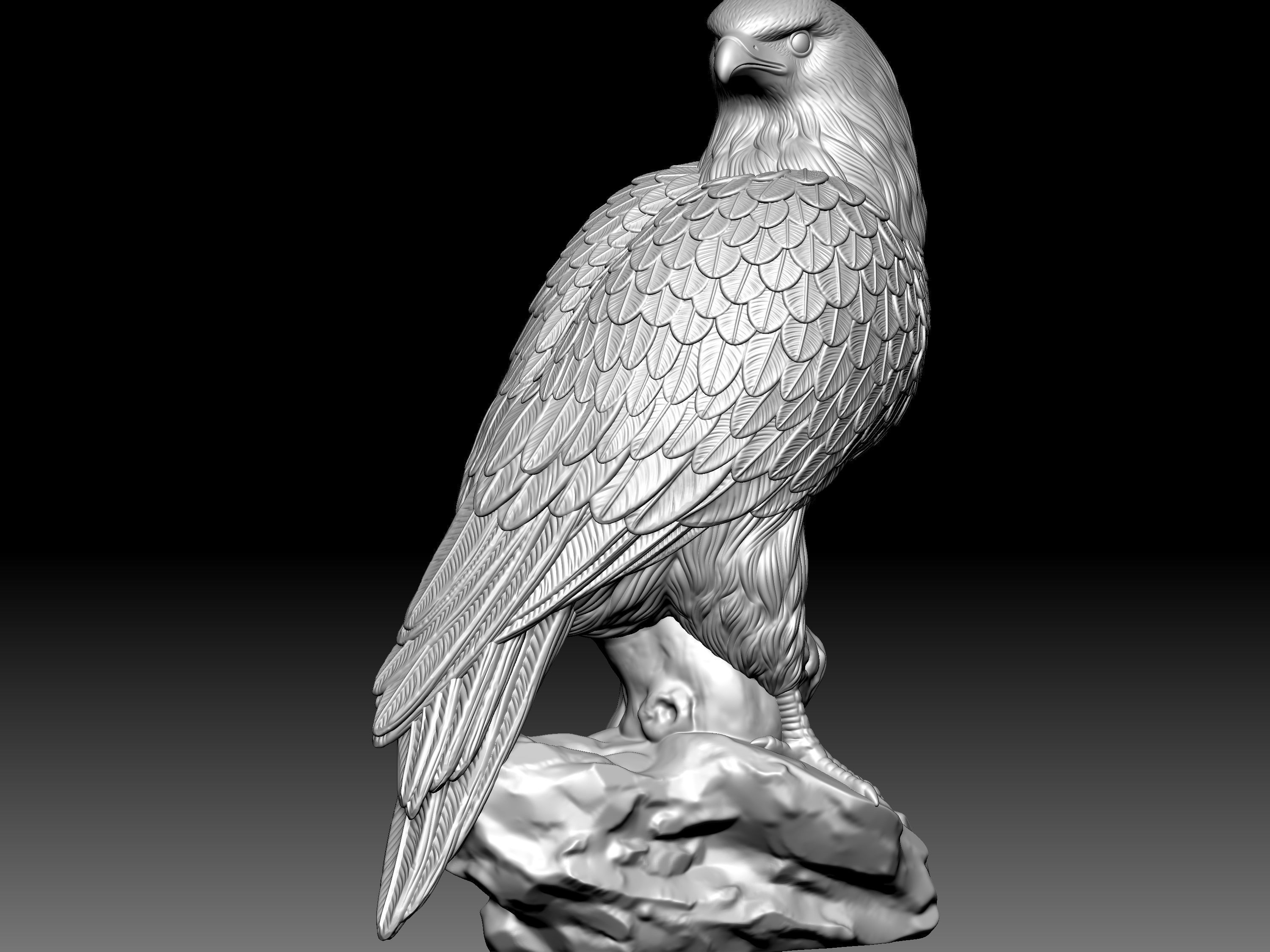 Eagel Statue 3D model_10
