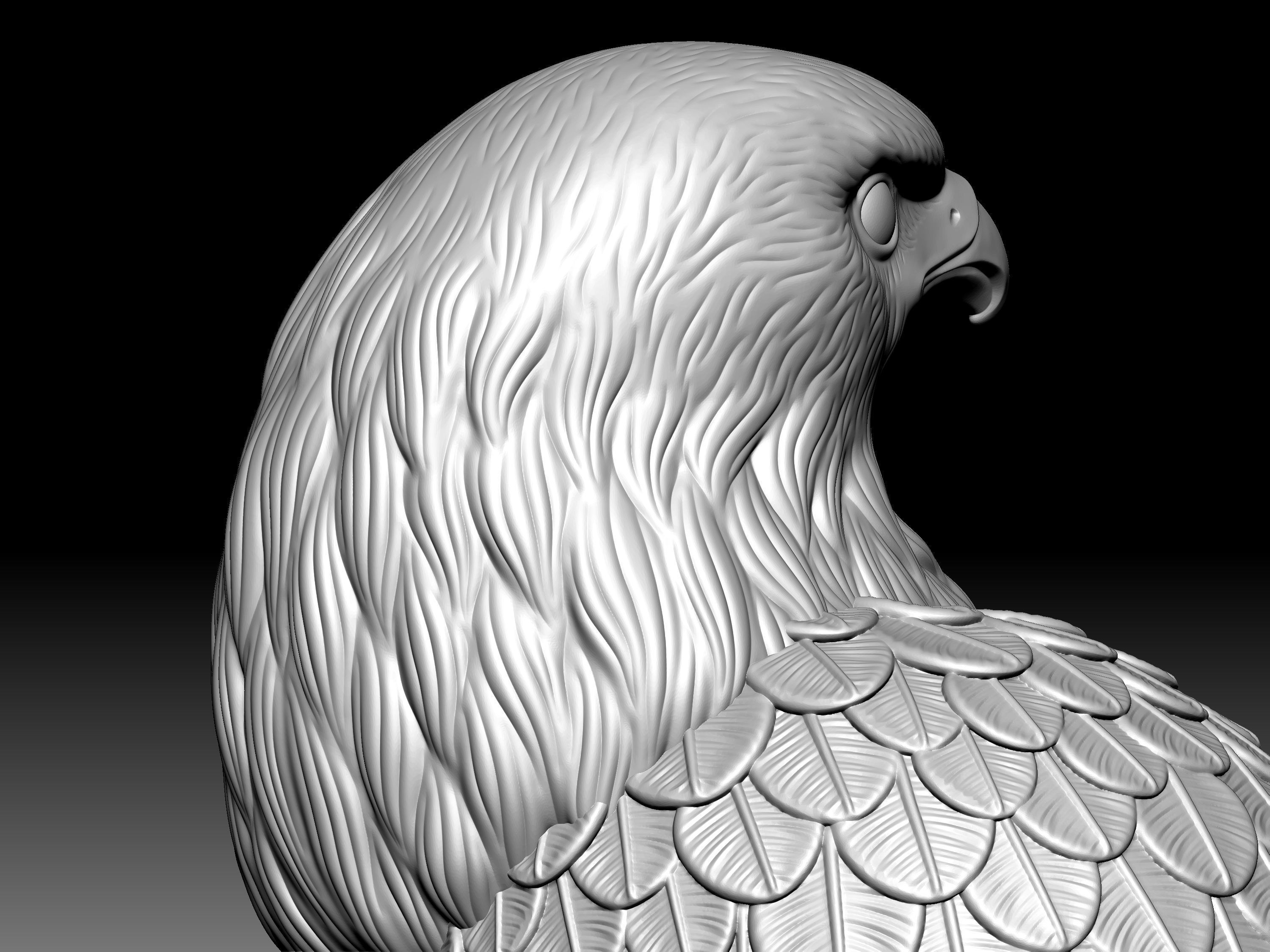 Eagel Statue 3D model_4