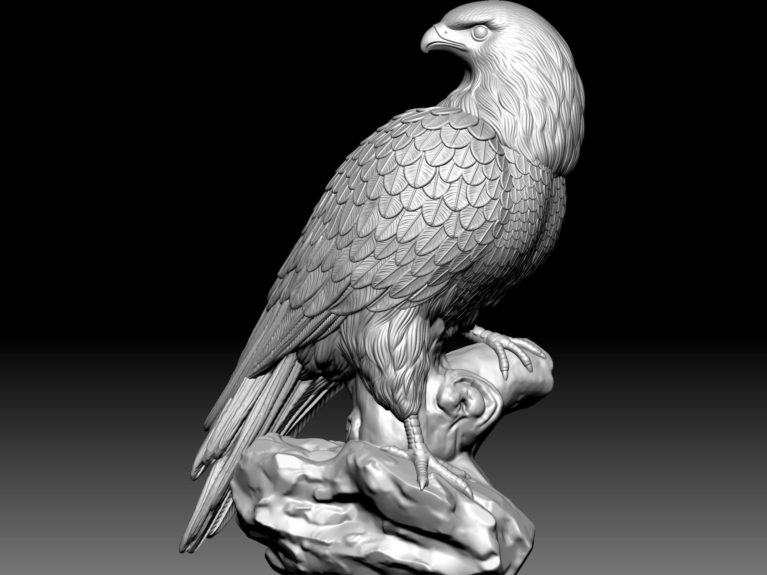 Eagel Statue 3D model_5