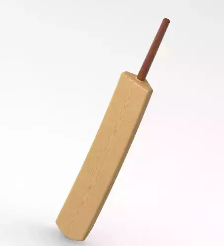 Cricket Bat Toy 3D print model