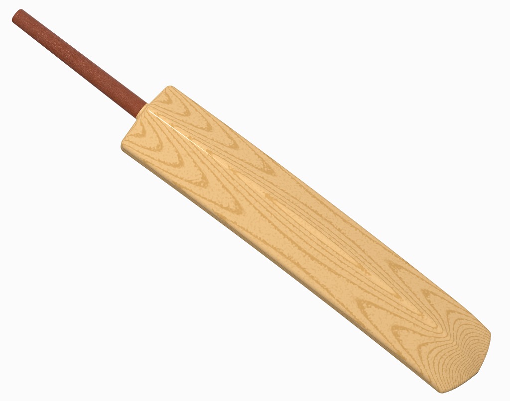 Cricket Bat Toy 3D print model_1