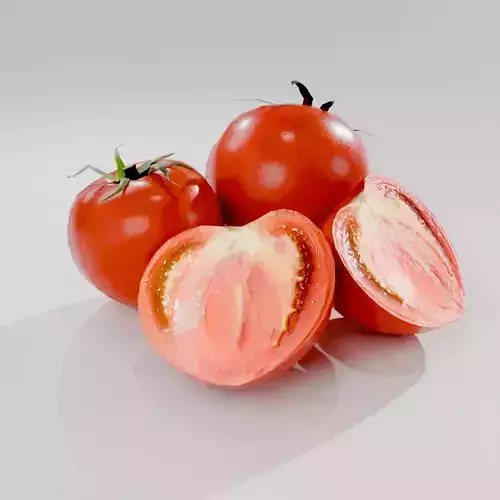 Vegetable Tomato Includes Cut Model