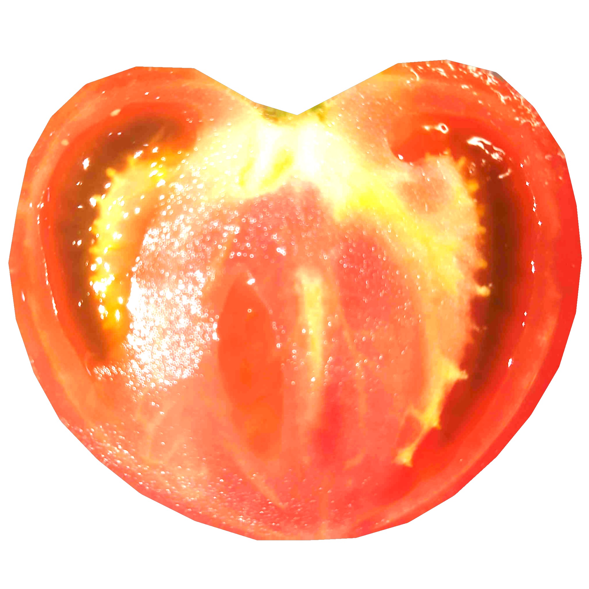 Vegetable Tomato Includes Cut Model Free low-poly 3D model_8