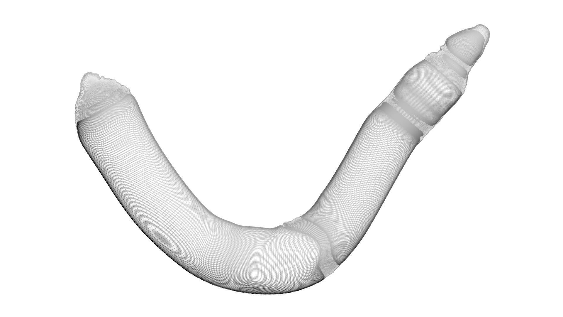 Peanut Worm 3D model_28