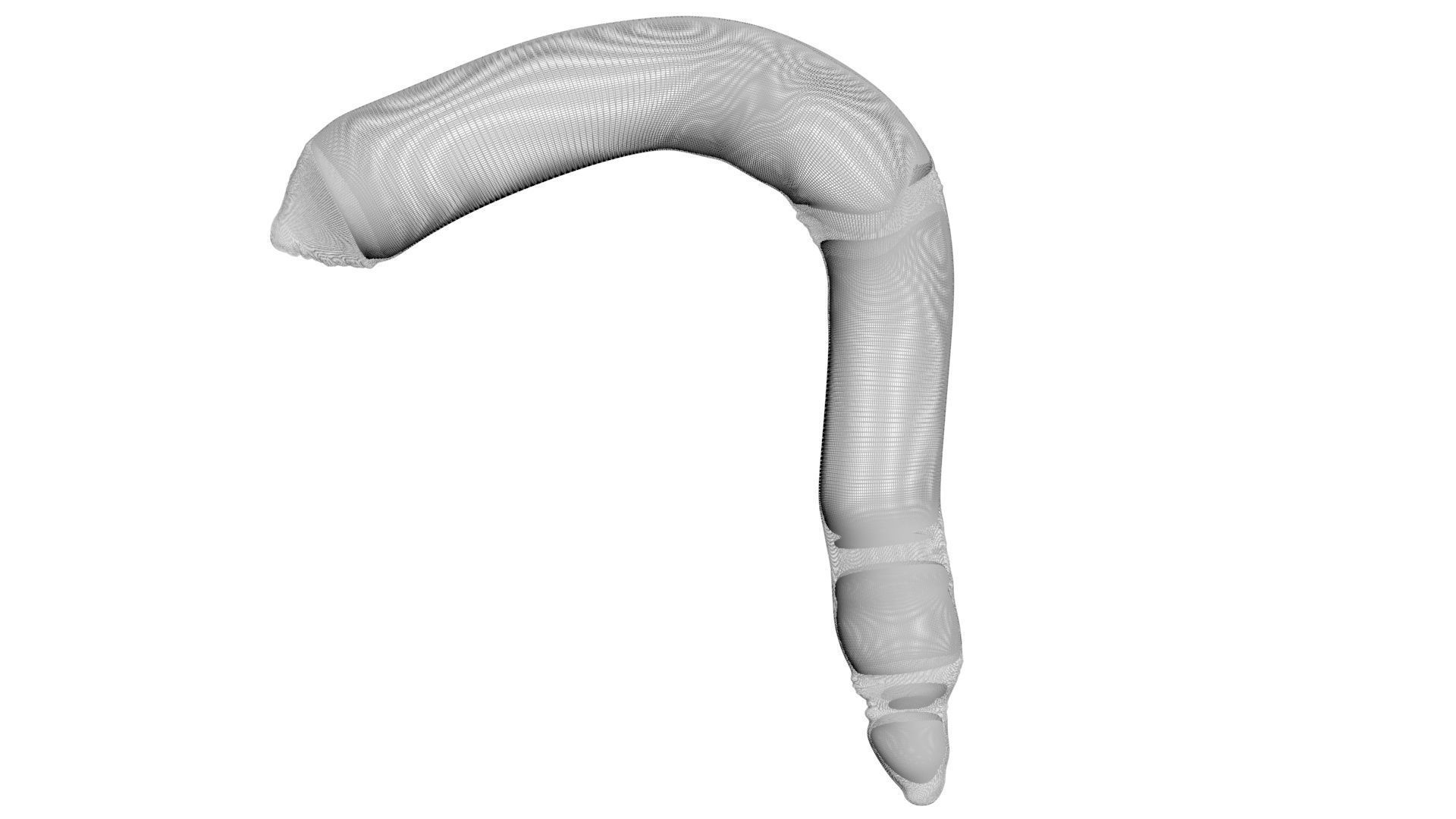 Peanut Worm 3D model_21