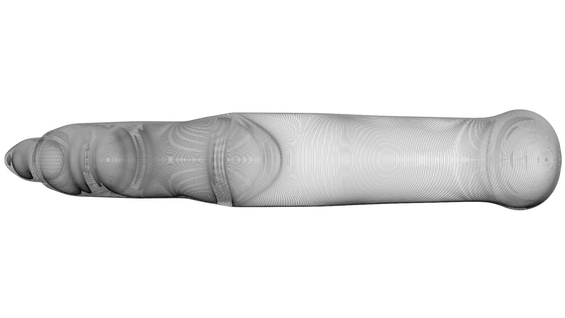 Peanut Worm 3D model_29