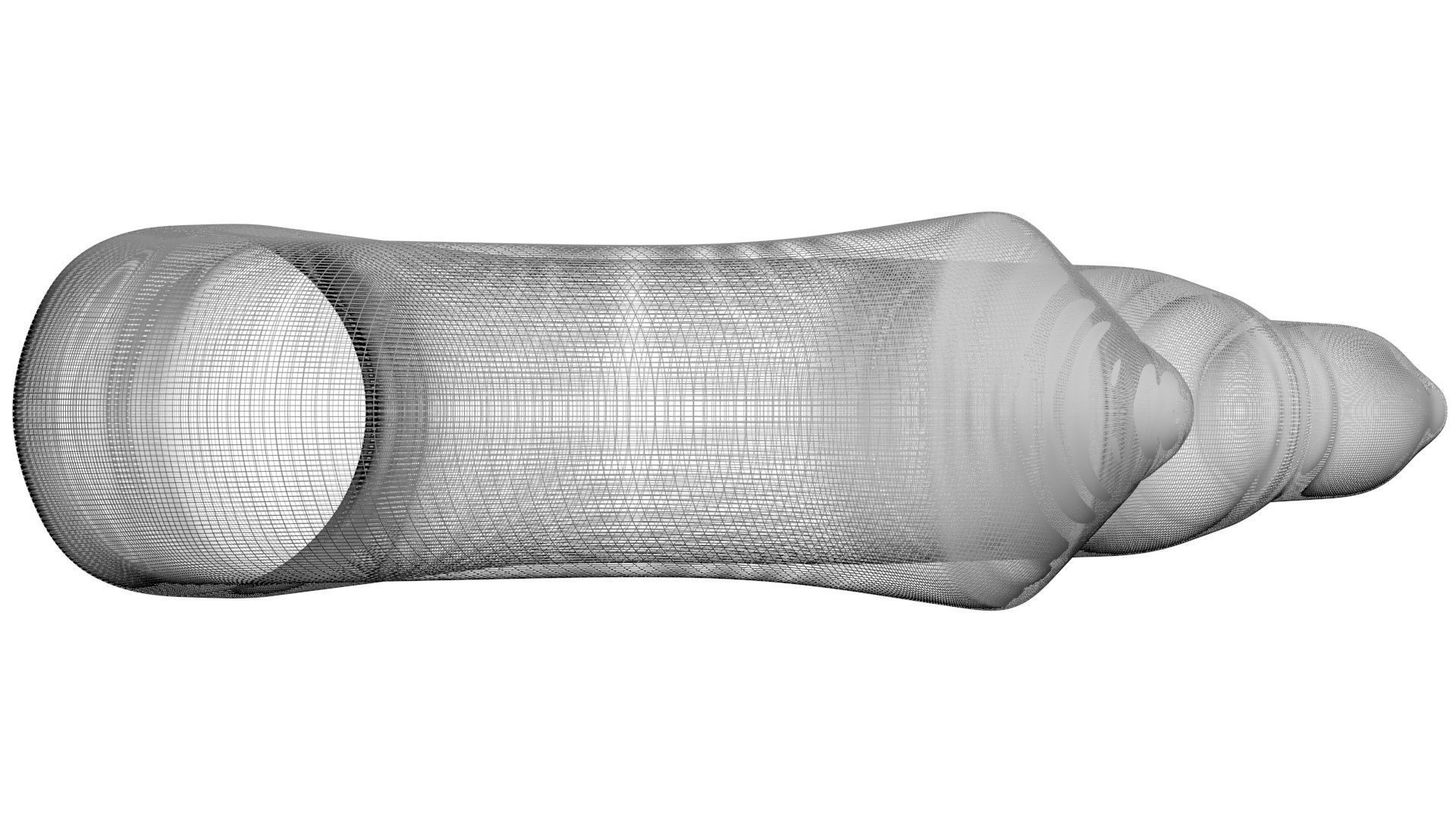 Peanut Worm 3D model_27