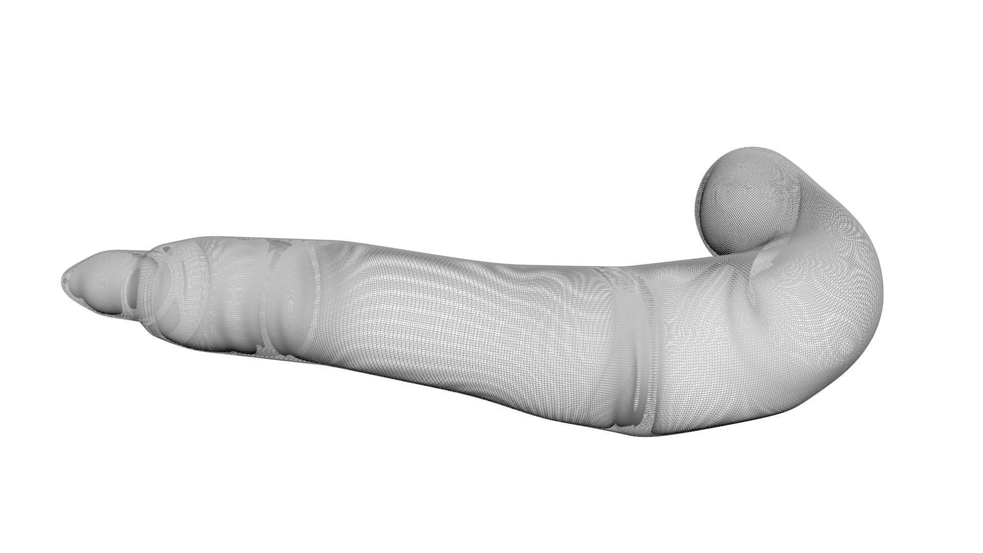 Peanut Worm 3D model_22