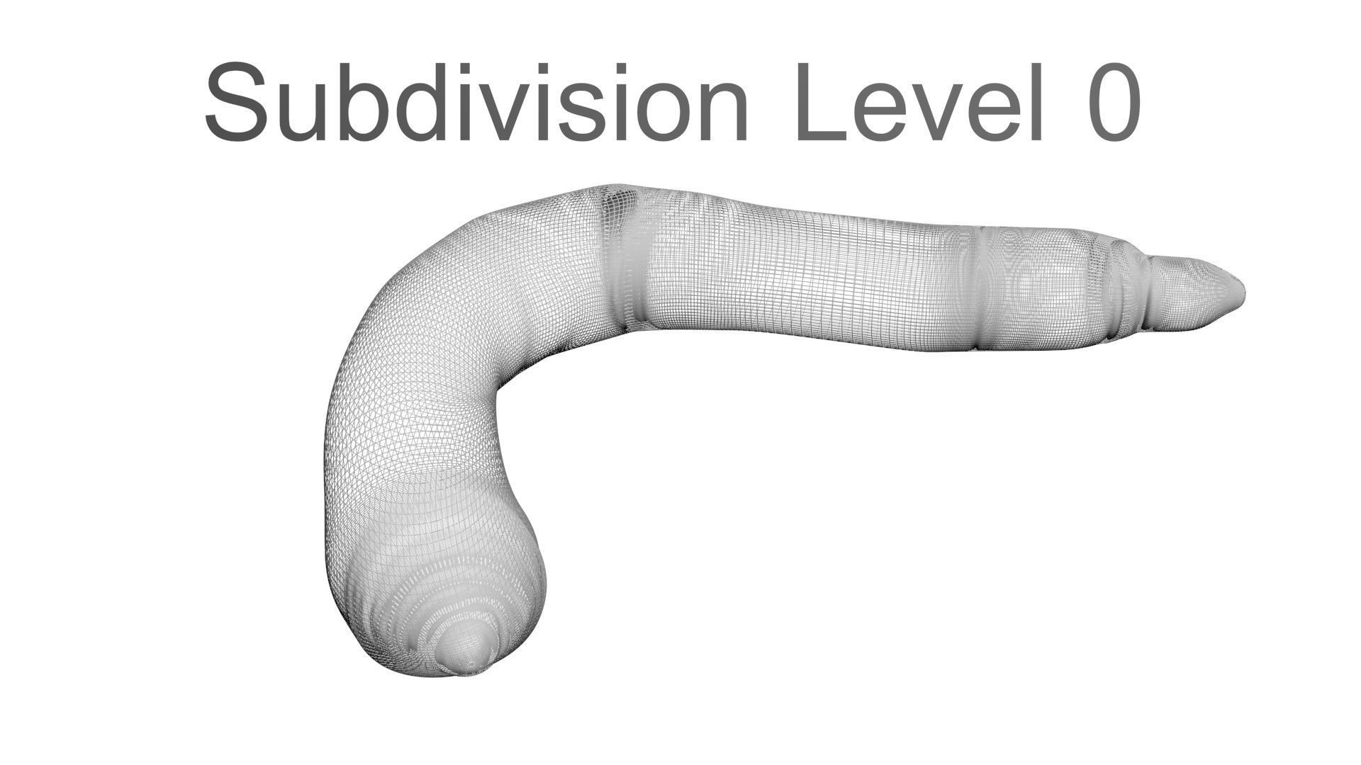 Peanut Worm 3D model_32