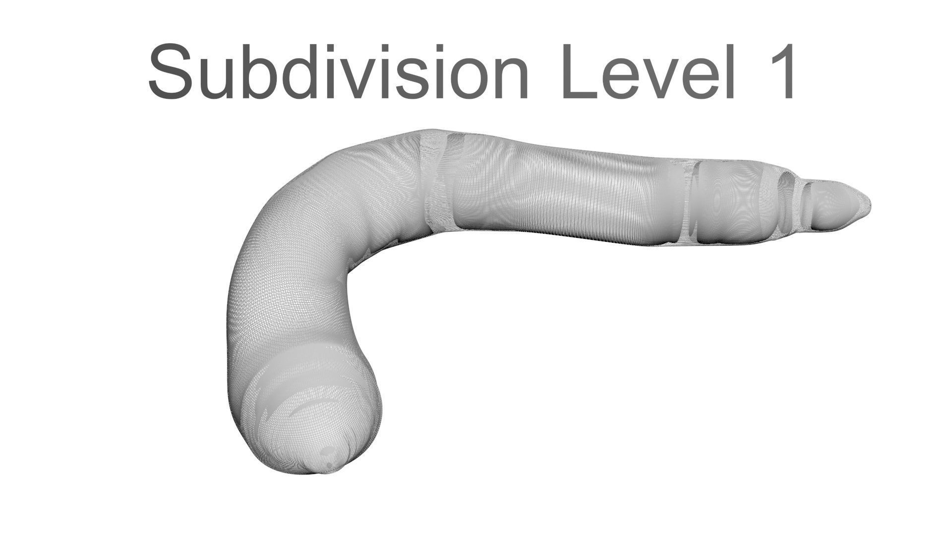 Peanut Worm 3D model_31