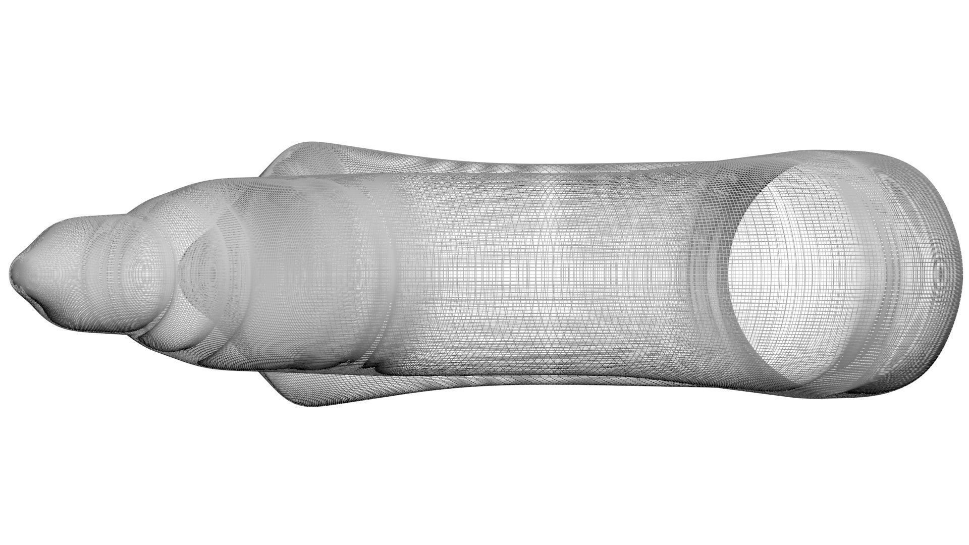 Peanut Worm 3D model_30